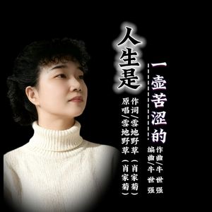 人生就是一壶苦涩的酒-女版