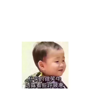 网1