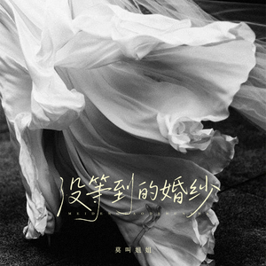 没等到的婚纱 (莫叫版)