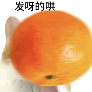 单句循环