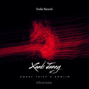 XAADI JANEY (feat. Roniin)