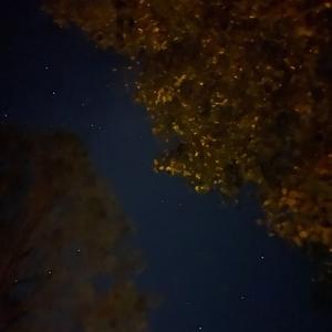 REBUILT/ RE BURNED BRIDGES