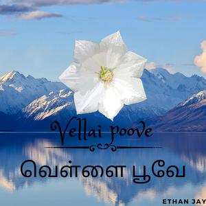 Vellai Poove