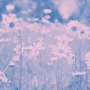 微妙的在家冥想心情