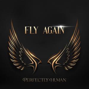 Fly Again