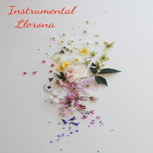 Disminución De La Ira