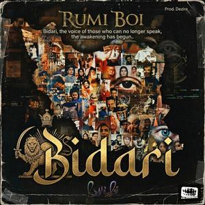 Bidari