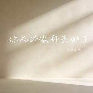 你的骄傲都去哪了