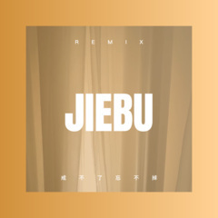 蝴蝶双双 飞 (DJ版)