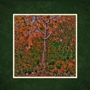 iwontneedadoctorforsheknowswhyiamill.