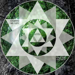 Wildlife (Original Mix)