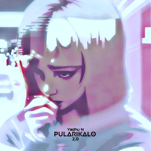 Pularikalo 2.0 Re.Mix