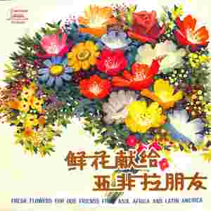 鲜花献给亚非拉朋友