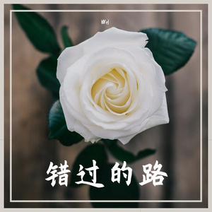 错过的路(Prod.Heaven JBEATZ)