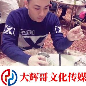 热歌越南鼓迷幻低音炮车载专用