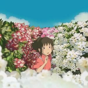 生命之名（钢琴版）