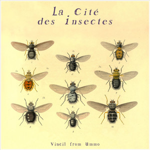 Le gang des coccinelles