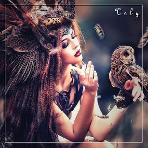 Cely