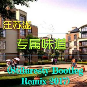 汪苏泷-专属味道 (ST!Lang Bootleg Remix 2017)（Playa Circuit (浪气流) remix）