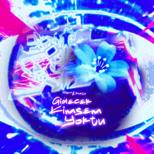 Gidecek Kimsem Yoktu