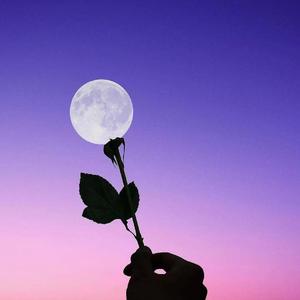 雨过后的风景（R&B氛围版）