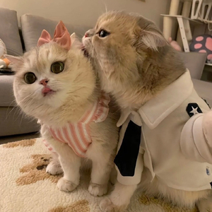 我在广州很想你