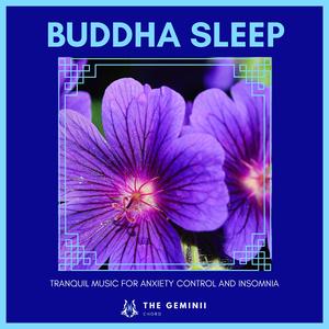 Knowing The Quiddity