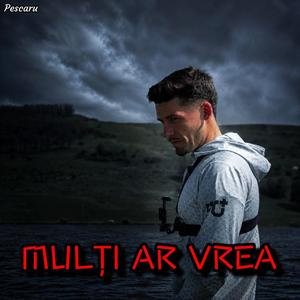 Mulți ar vrea