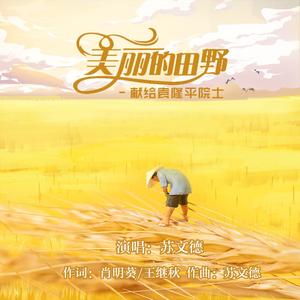 美丽的田野