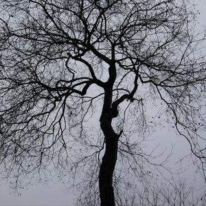 他们其实也想去爱这个世界（网愈云）