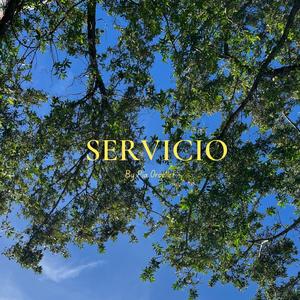 Servicio