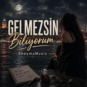Gelmezsin Biliyorum