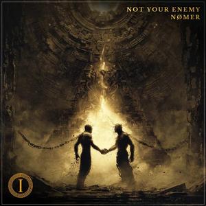NOT YOUR ENEMY
