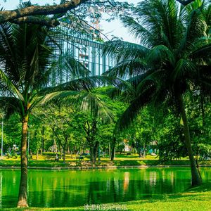 适合在家工作抒情的音乐