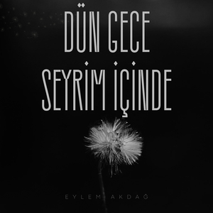 Dün Gece Seyrim İçinde