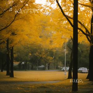 秋天的风