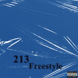 213Freestyle