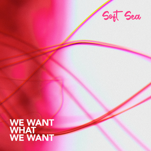 We Want What We Want