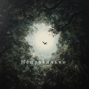 Неправильно