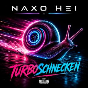 Turboschnecken (Queens of the Night)