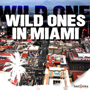 Danja (Bastian van Shield Remix)