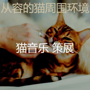 诗意的猫节奏
