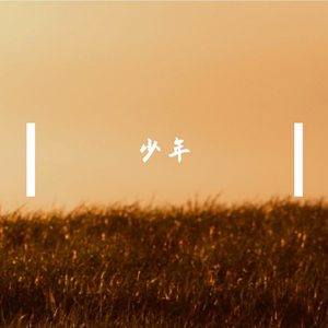 少年