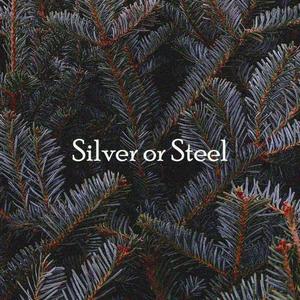 Silver or Steel