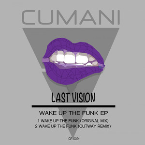 Wake UP The Funk (Original Mix)