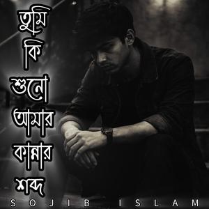 তুমি কি শুনো আমার কান্নার শব্দ