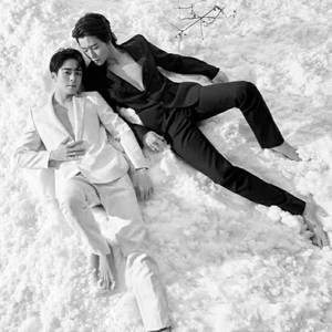 于村村与季猫猫（十八城联动大屏预热）