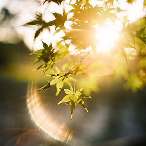 《向前的人都是自己的光》.wav