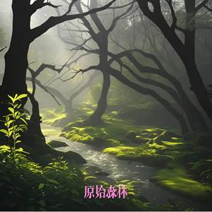 原始森林