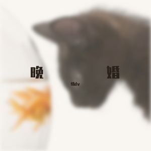 晚婚（翻自 隔壁老樊）
